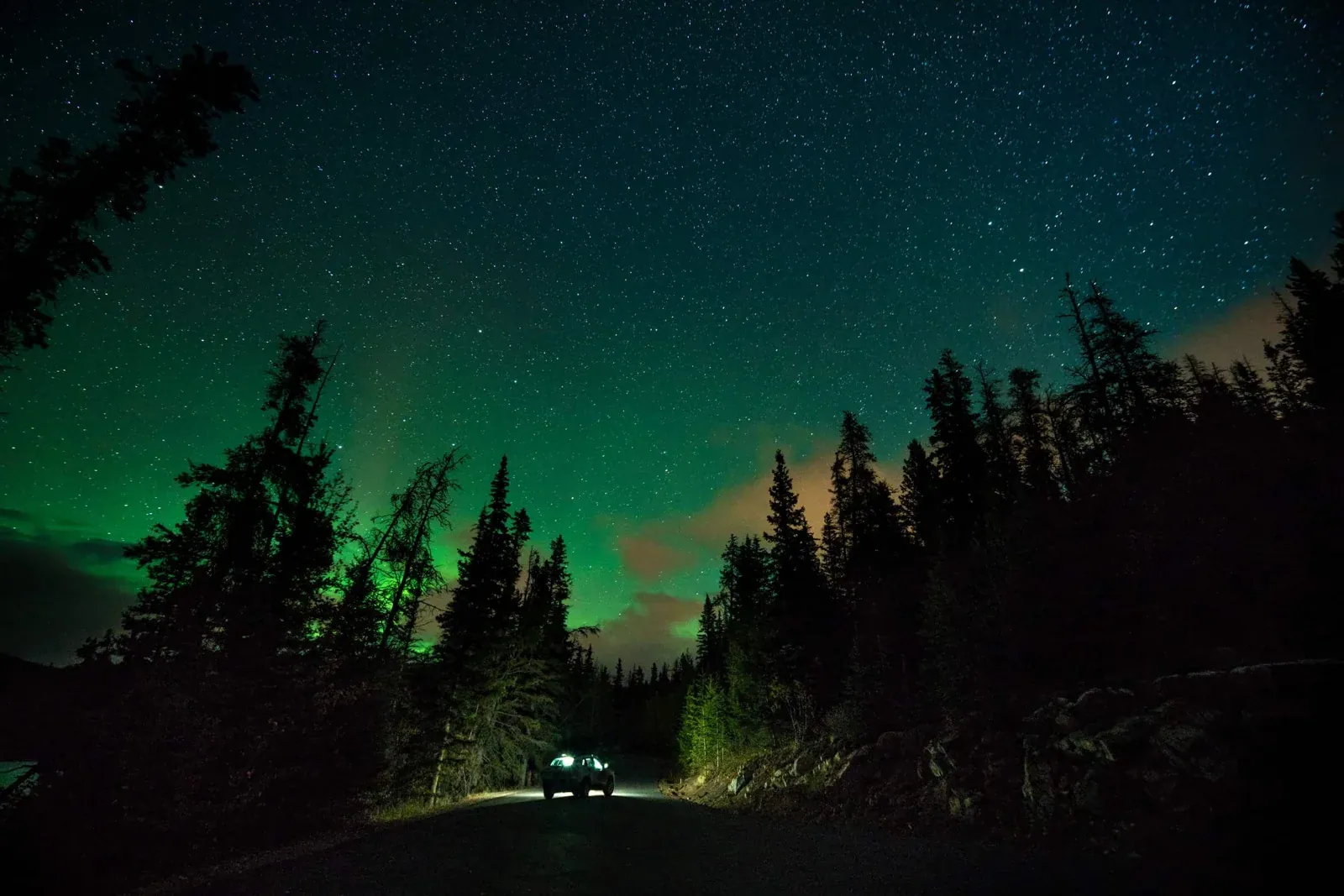 Northern lights illuminating the sky above a forest and campsite